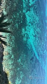 Appartamento in villetta