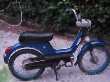 boxer piaggio