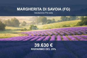 Immobile in asta di 1166 m² a Margherita di Savoia
