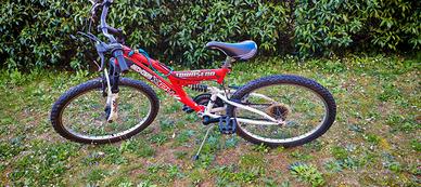 Bicicletta Bimbo 24 - Mountain Bike 