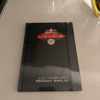 Ligabue - Campovolo 2015