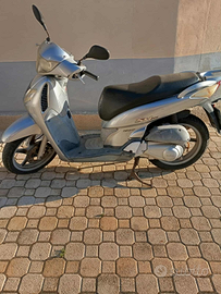 SH 125cc a Marina di Camerota
