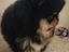 Immagine 4