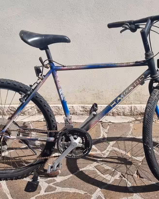 Mountain Bike Hazzard