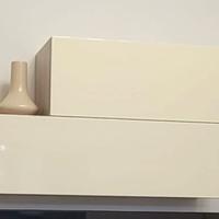 Coppia mobili pensili salone