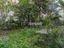 Immagine 14