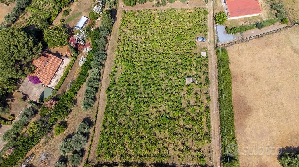 Terreno di 4230 m² a Grottaferrata - Vista 4