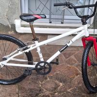 bicicletta modello BMX