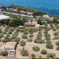 VILLA NOBILIARE con ULIVETO