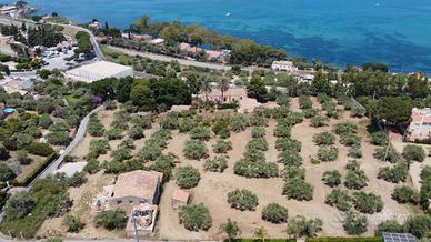 VILLA NOBILIARE con ULIVETO