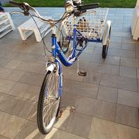 triciclo cargo