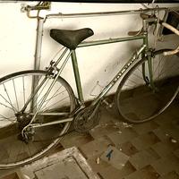 Bici olmo corsa vintage