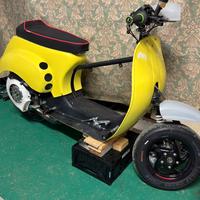 Vespa elaborata