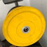 Coppia Dischi da 15 kg Sidea