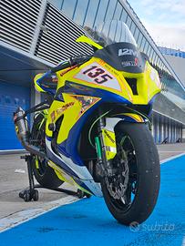 Kawasaki Ninja ZX-10R Pista