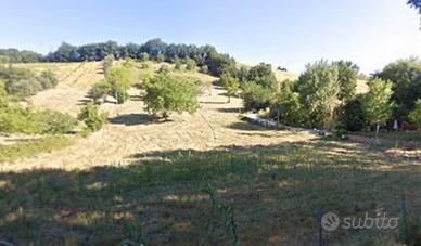 Casa indipendente con terreno