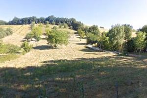 Casa indipendente con terreno