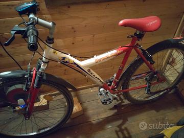 Mountain bike 