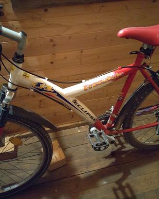 Mountain bike 