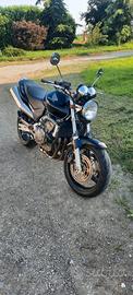 Honda Hornet - 2002