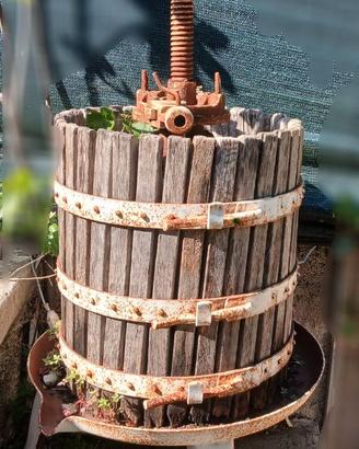 TORCHIO UVA D'EPOCA PER ARREDO GIARDINO