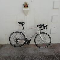 bici da corsa Specialized Roubaix 