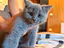 Immagine 6