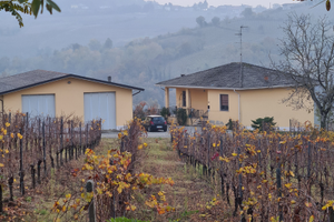 Azienda agricola