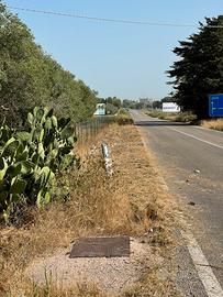 Terreno a san donato per esposizione o deposito