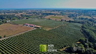 Azienda agricola 18 HA con uliveto e fabbricati