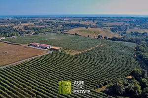 Azienda agricola 18 HA con uliveto e fabbricati