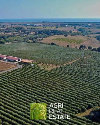 Azienda agricola 18 HA con uliveto e fabbricati
