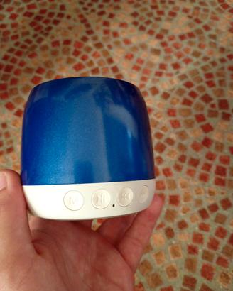 Cassa bluetooth 