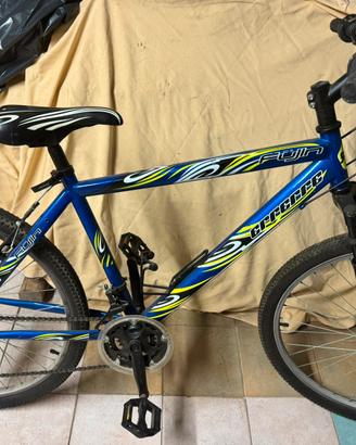 Bicicletta mtb
