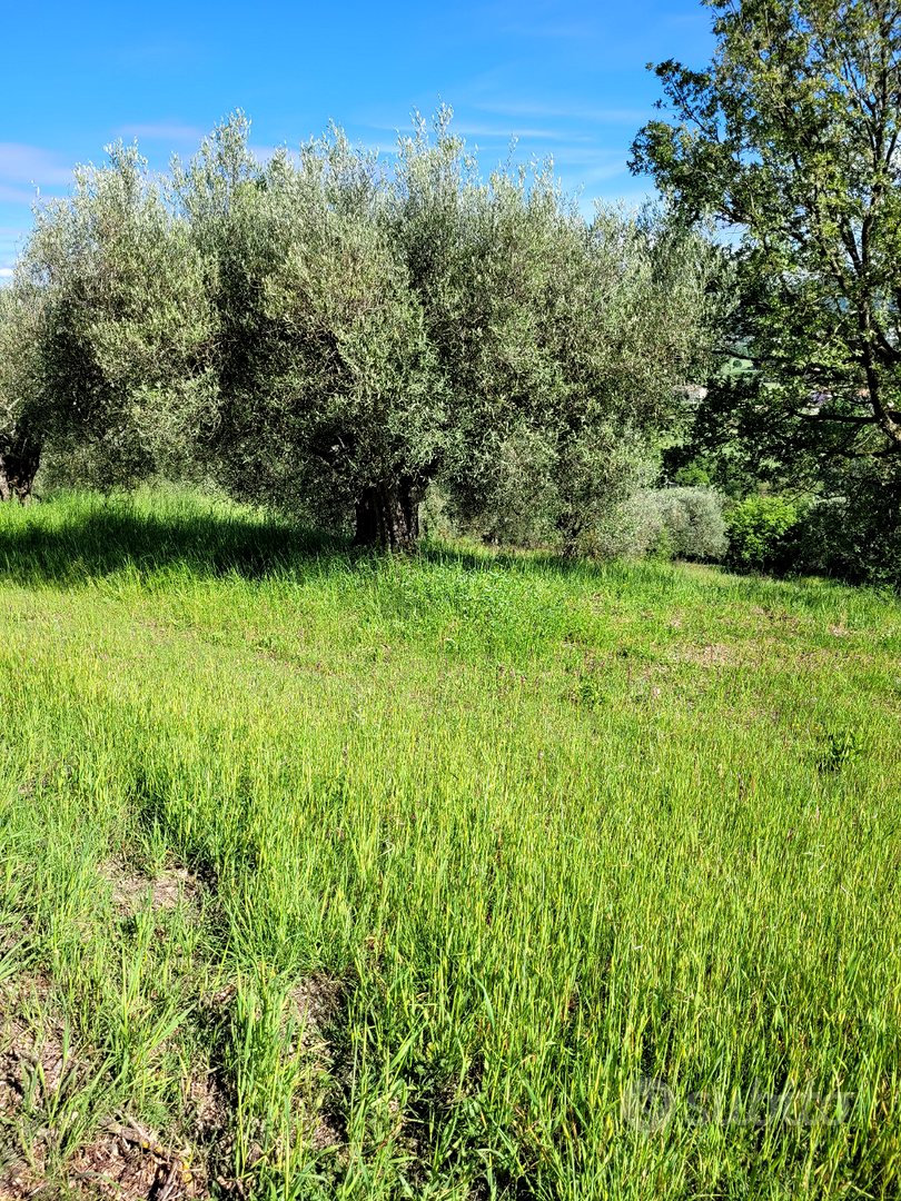 Striscia di terreno 5 mila mq - Vista 4