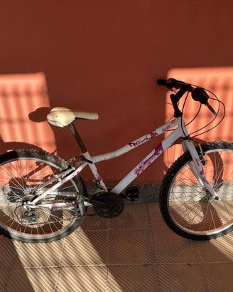 Bicicletta 24 pollici