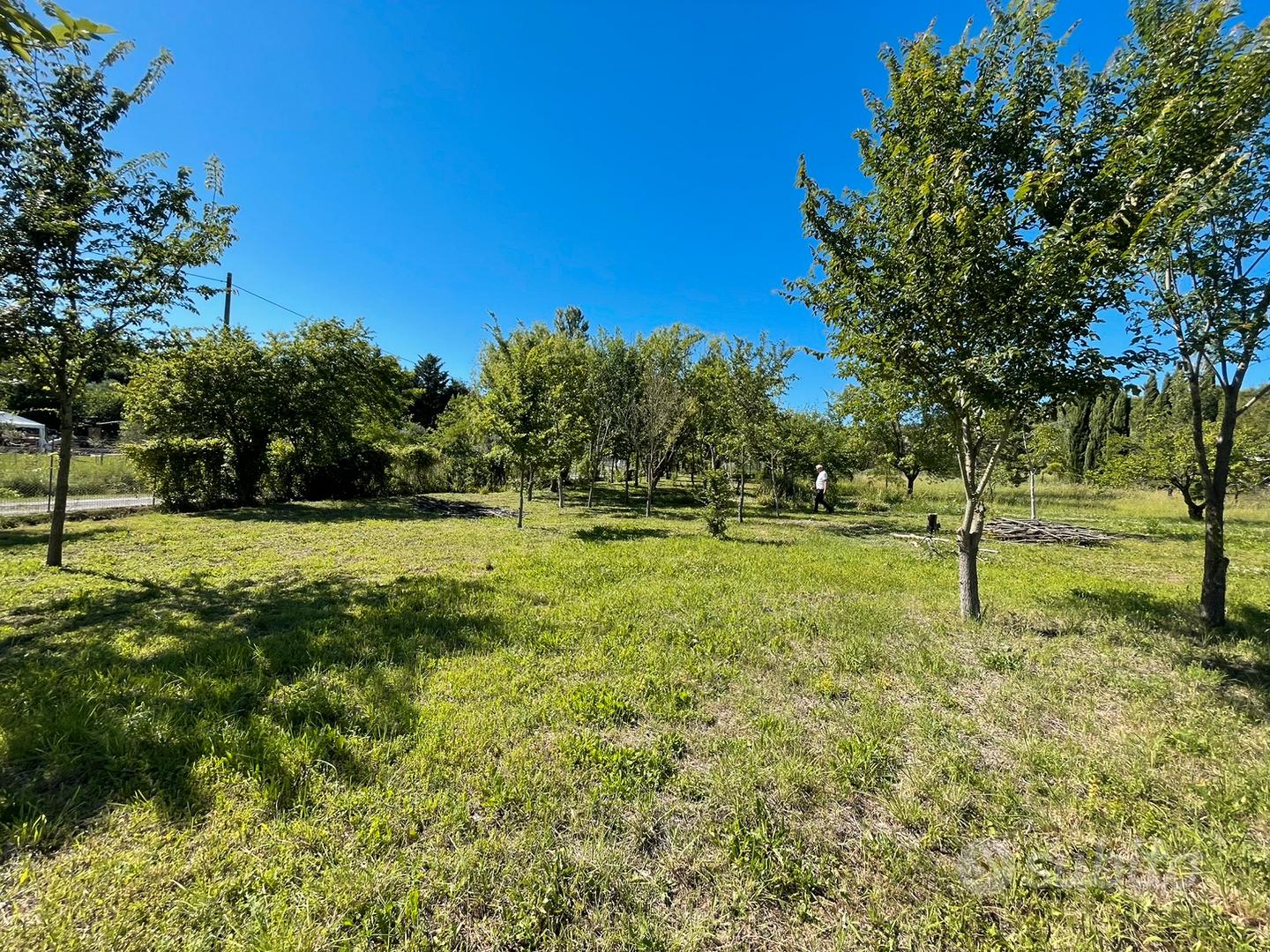 Terreno agricolo santaquilina - Vista 4