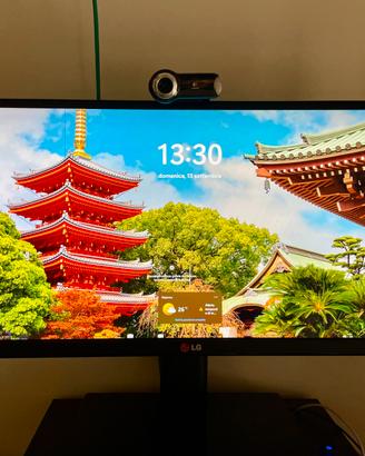 LG 29 pollici Ultrawide IPS Monitor