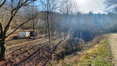 Terreno in provincia di Roma