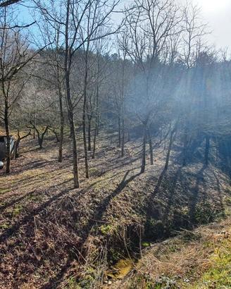 Terreno in provincia di Roma