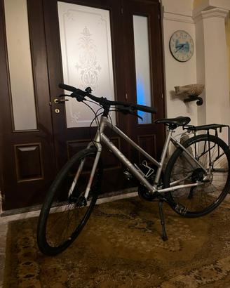 Bici fuji absolute 1.7 st