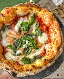 Pizzaiolo pizza napoletana