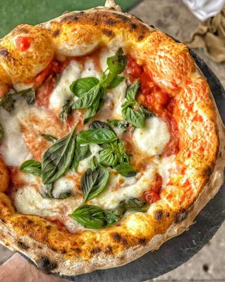 Pizzaiolo pizza napoletana