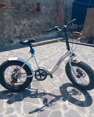 Bicicletta teklio