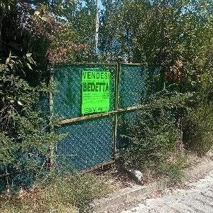 Terreno agricolo - Vista 4