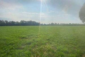 Immobile in asta di 56244 m² a Tezze sul Brenta