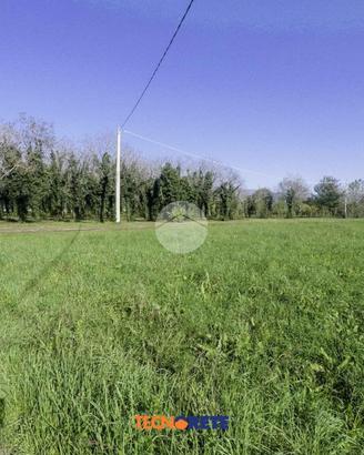 TER. AGRICOLO A SARCEDO