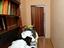 Immagine 14
