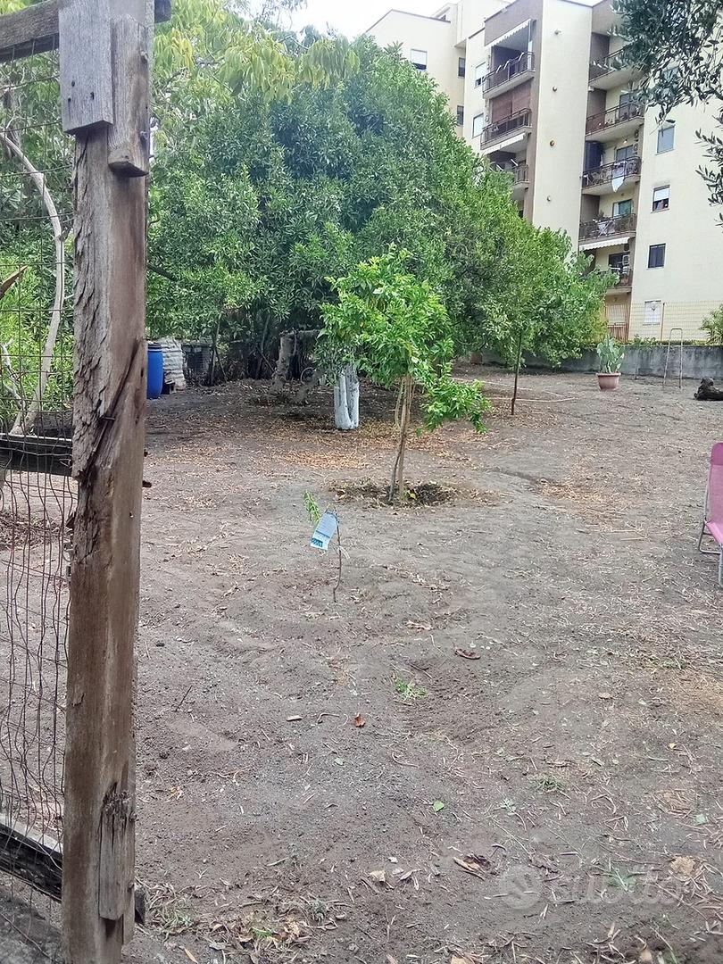 Terreno agricolo - Vista 5