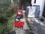 Immagine 2